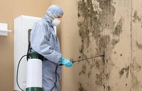 Mold Remediation for Rental Properties in Bay Village, OH